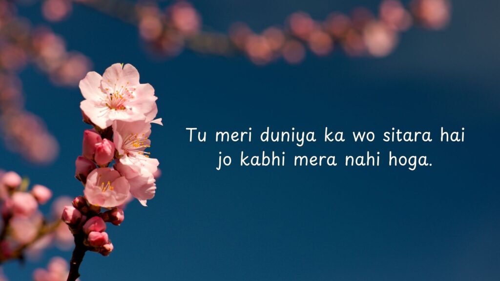 Tu meri duniya ka wo sitara hai jo kabhi mera nahi hoga Tu meri duniya ka wo sitara hai jo kabhi mera nahi hoga